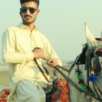 Malik Ismat ullah