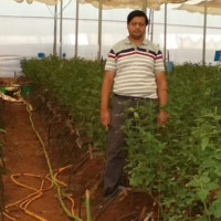 Aditya Ekbote