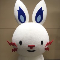Masanori Kaneko