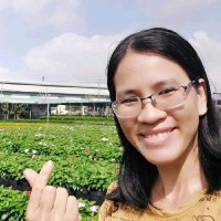 Lê Phạm Minh Thư