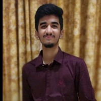 Vedant Shudrik