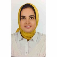 Dina Fawzi
