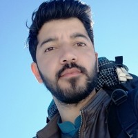 Muhammad Hamza Jadoon