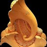 Charan gowda