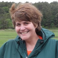 Kelly Mattei