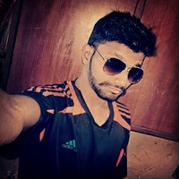 Shailesh W