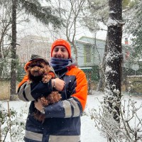 Arda Parlak