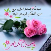Yassmina El Madani