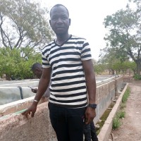 Souleymane Barro