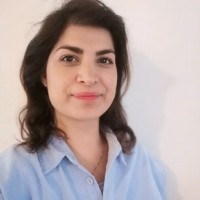 Parisa Amin