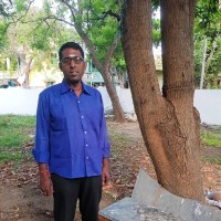 Muthu S