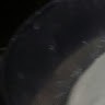 Y T