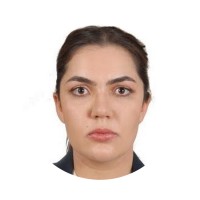 Pınar Şahi̇n