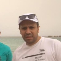 Ahmed Abdelaal Eid
