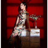 Ya  Fei Lu