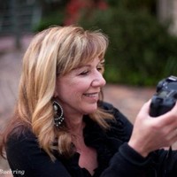 Terry Kroll