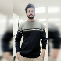 Ayaz Anwar