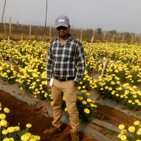 Prashant Sonewane