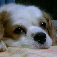 小野元己