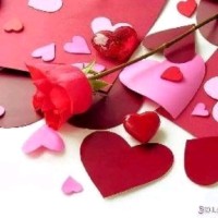 Elsayed Mohmed
