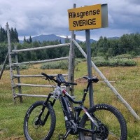 Geir Risholt