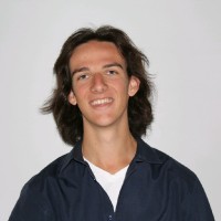 Matthijs van Hees