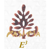 E3 By Pashma