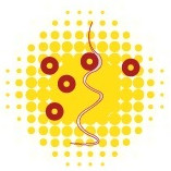 INSCOMI TECHNOLOGY SERVICES