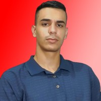 Bruno Henrique Borim