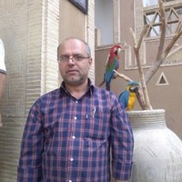 morteza sedghi