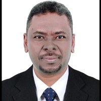 Isam Babiker Abdalla Hamid