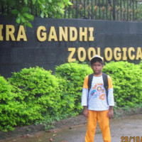 MIR NASIM ALI Nasimcircuitech