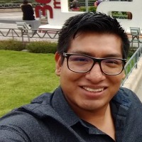 Angel O. Flores Torres