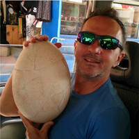 roberto bonfanti