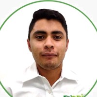 Cristian Ivan Ramirez Moreno