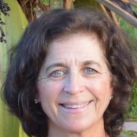 Lynn Steinhart