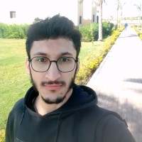 Waleed Alzamil