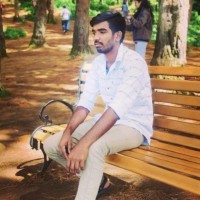 Gokulakrishnan T