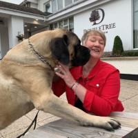Ann Laughton