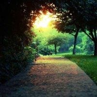 周立智