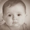 Seyed Morteza