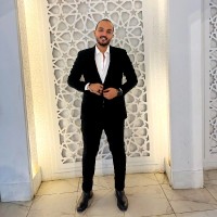 Karim M Youssef