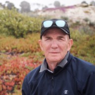 Bob Costello
