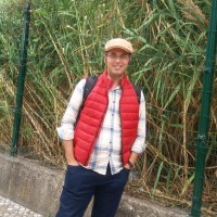 Hamed Gholipour