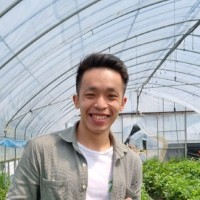 Zheng Wei Hsin