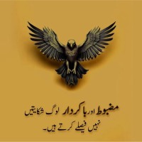 Shazar Khan