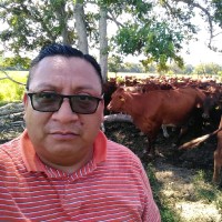 Eloy Castillo