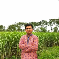 Md.Mohaimenul Islam
