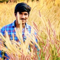 Narasinga Rao Botta