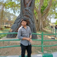 Raveendra Banoth
